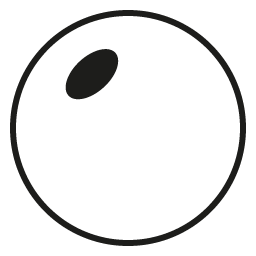 Firstline Rx Bifocal lens